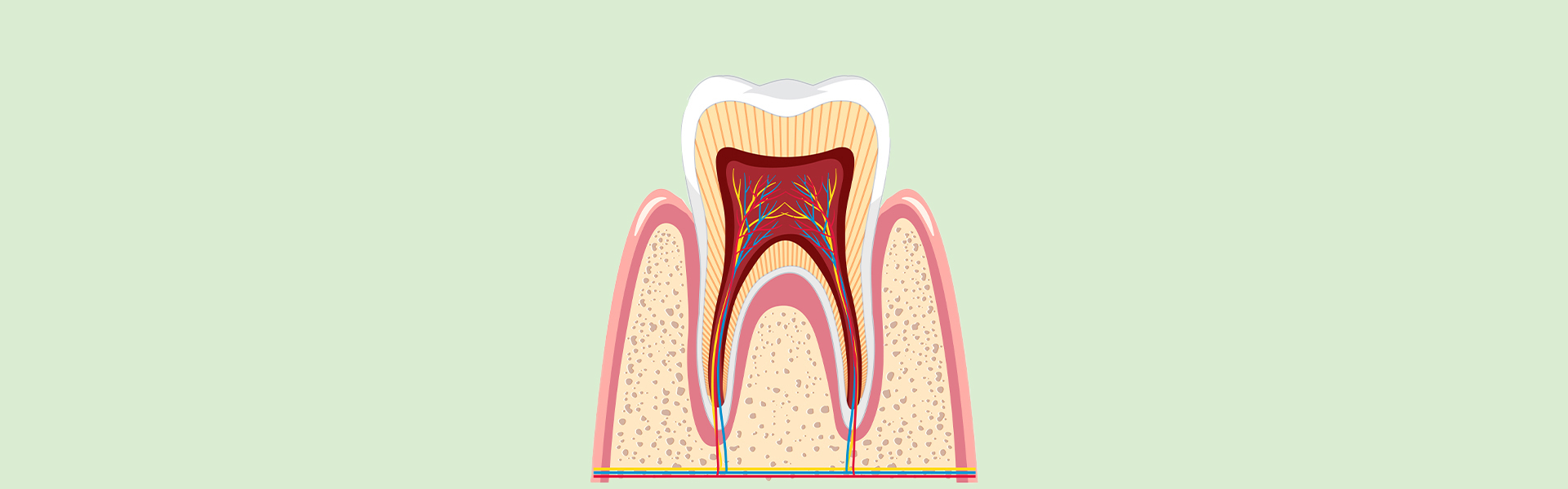 Easy Steps to Follow After a Root Canal for Faster Healing